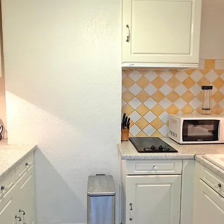Les Dauphins Apartment